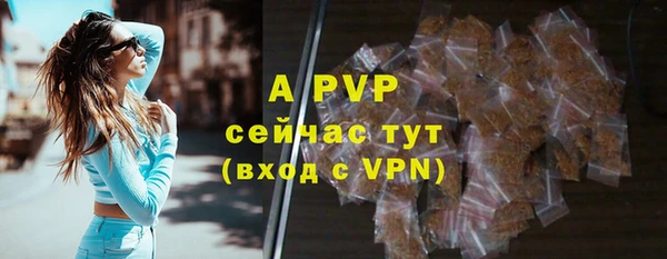 шишки Алексин