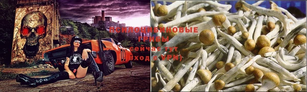 шишки Алексин