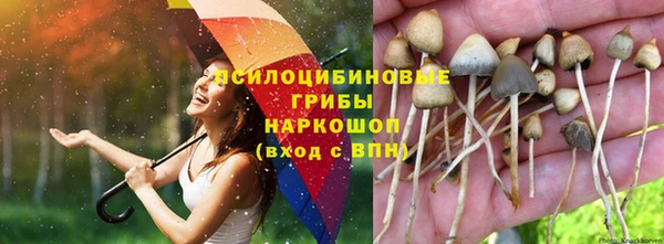 шишки Алексин